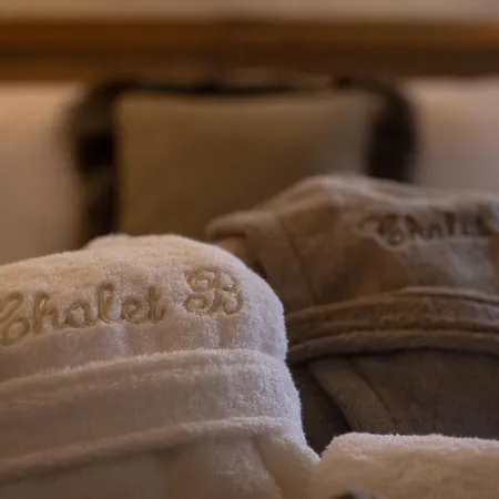 Chalet B Ski Aux Pieds Les Saisies